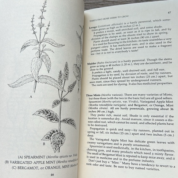 Vintage Herbs Book Growing & Using Herbs Successfully Betty E.M. Jacobs 70s - Picture 11 of 15